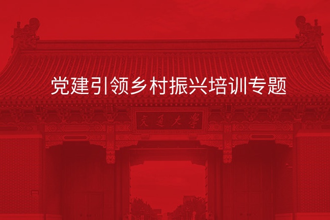 党建引领乡村振兴培训专题