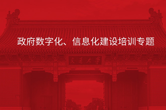 政府数字化、信息化建设培训专题